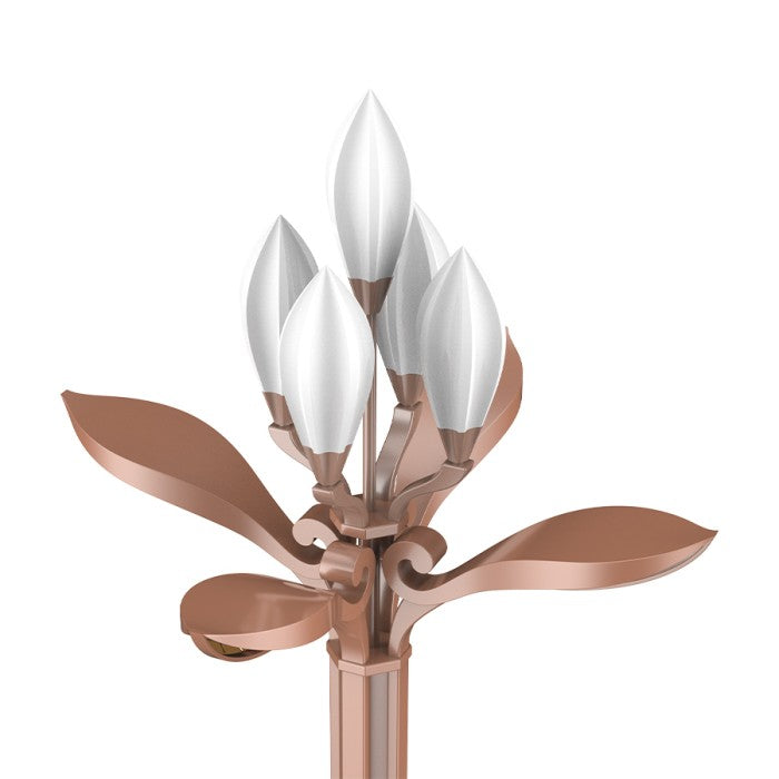 ZLYS20260522