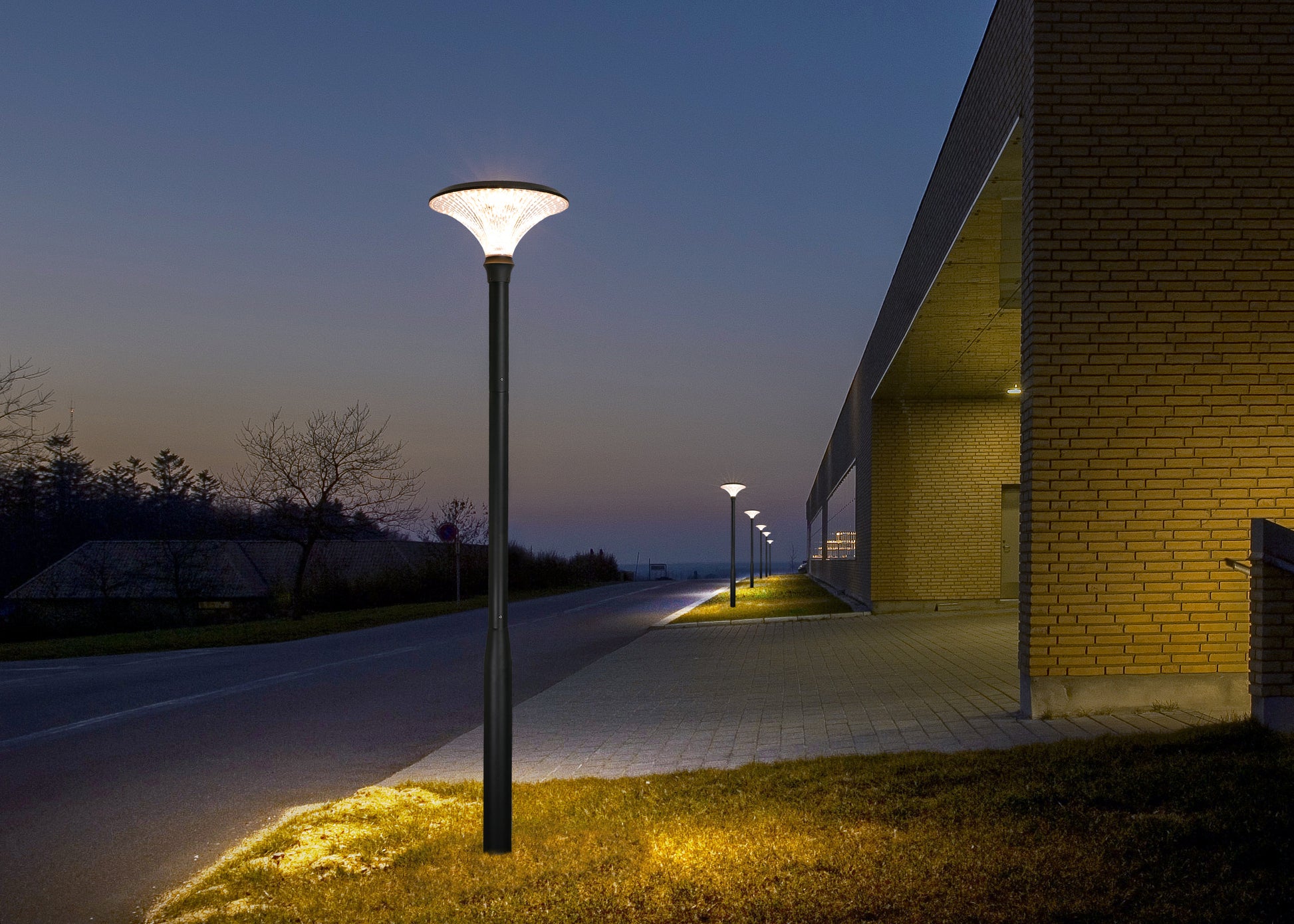 Diamond Series Solar Garden Light TYD6605 installed beside a commercial building