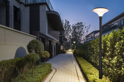 Diamond Series Solar Garden Light TYD6605 installed in a residential community walkway