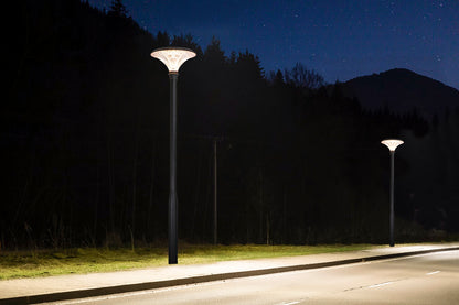 Diamond Series Solar Garden Light TYD6605 illuminating an urban roadside at night