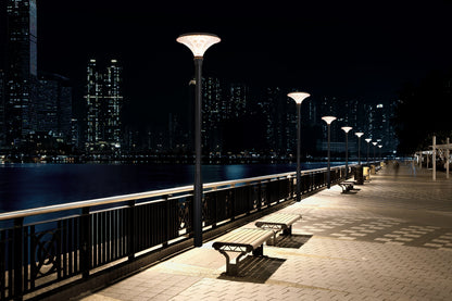 Diamond Series Solar Garden Light TYD6605 installed along a waterfront promenade