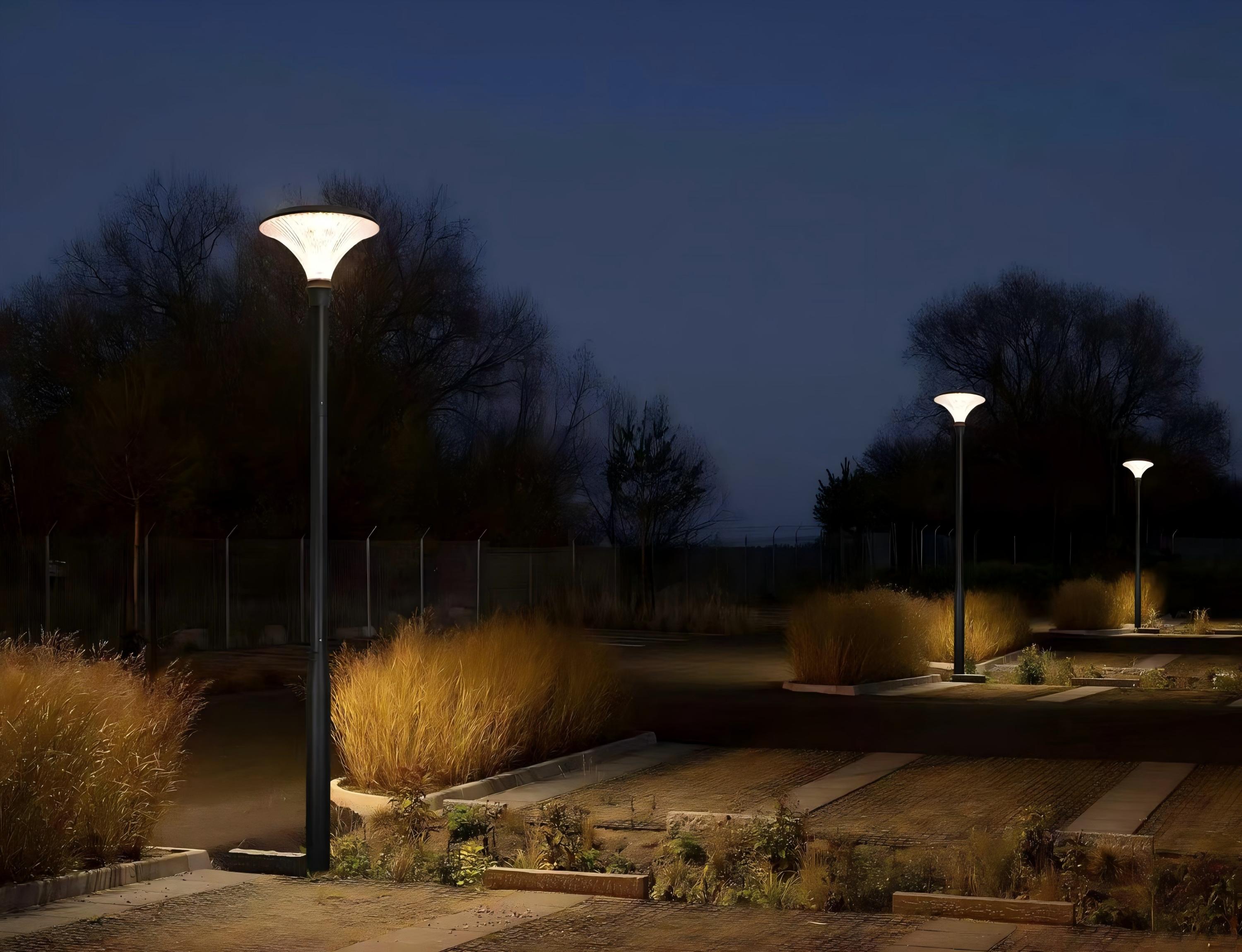 Solar Street Lighting Project in Residential Community