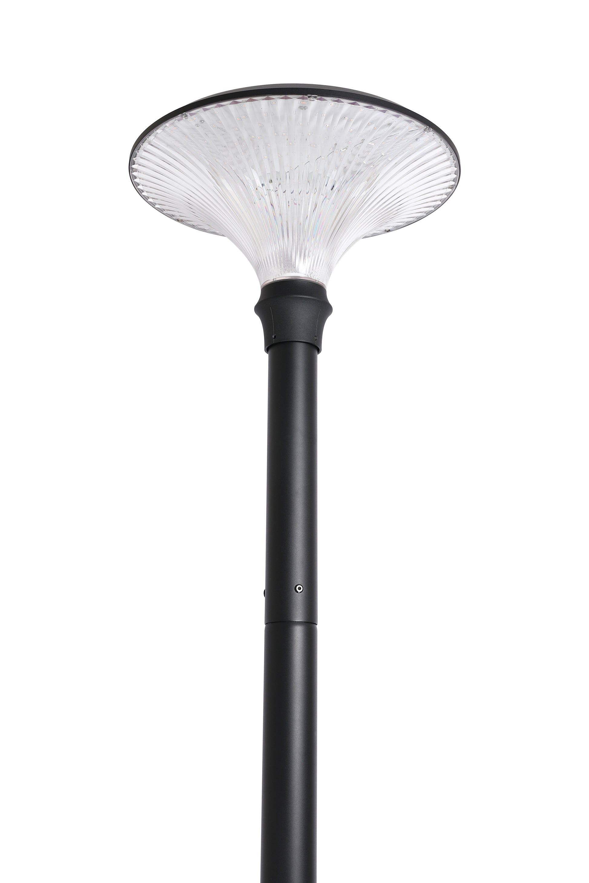 Installed TYD6605 Diamond Series solar garden light head