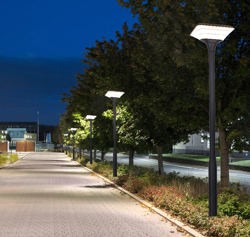 Ark solar landscape lights illuminating a tree-lined outdoor pathway