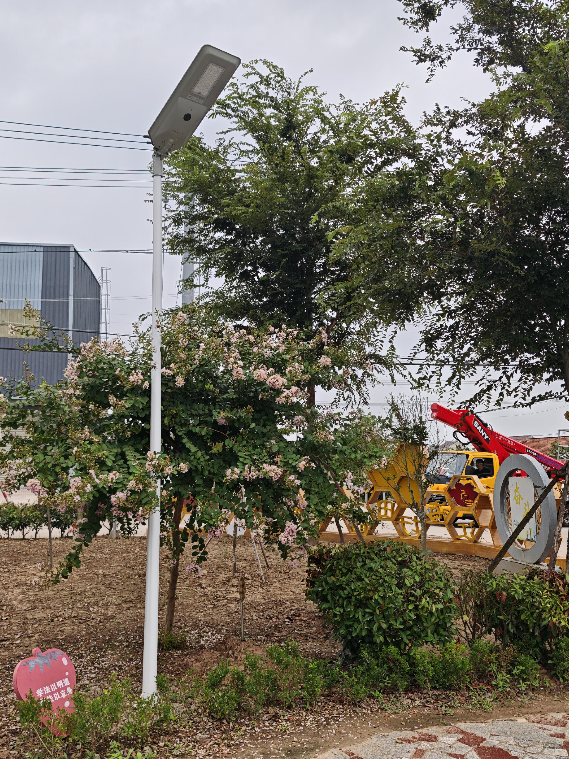FQ1-B 6-8m solar street light installed in park and outdoor landscape area