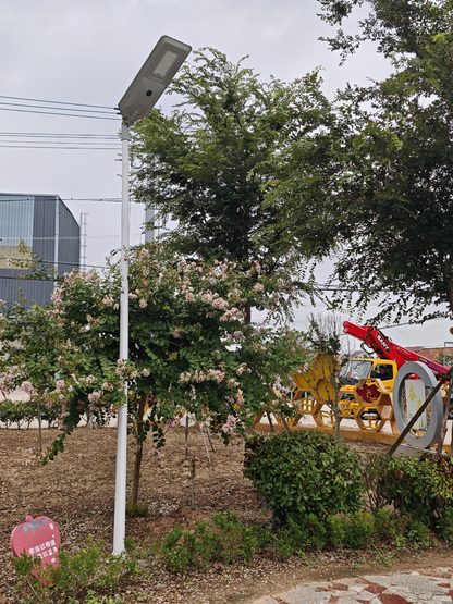 FQ1-B 6-8m solar street light installed in park and outdoor landscape area