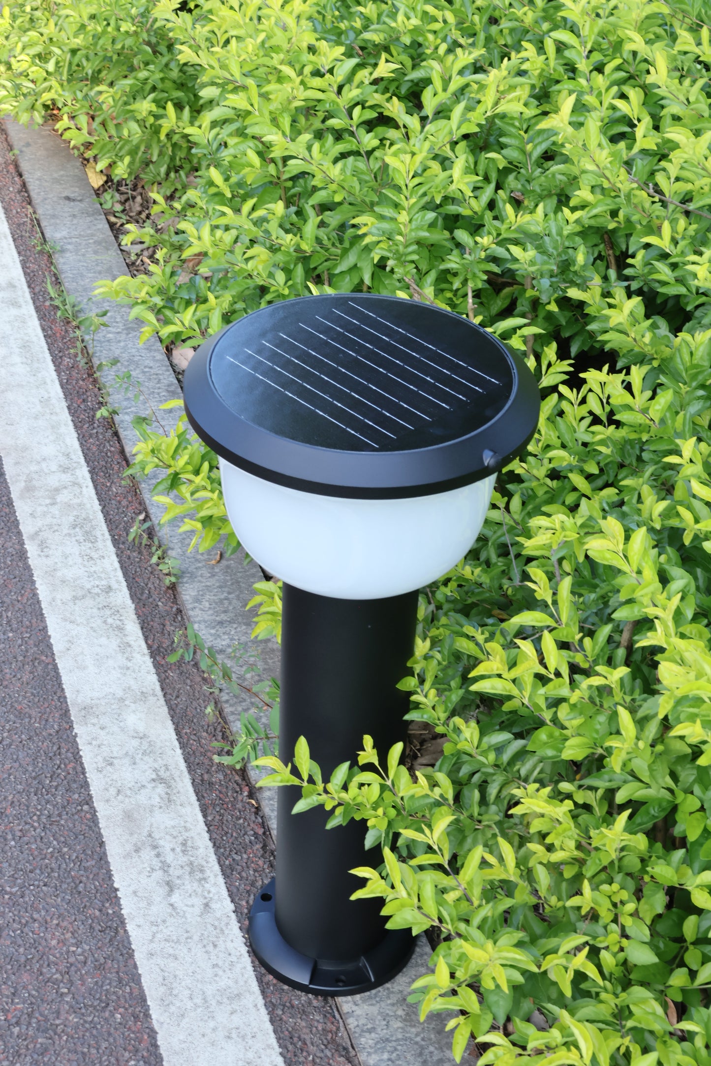 Close-up of Glass Cup Series Solar Lawn Light CPD1005 installed in landscape