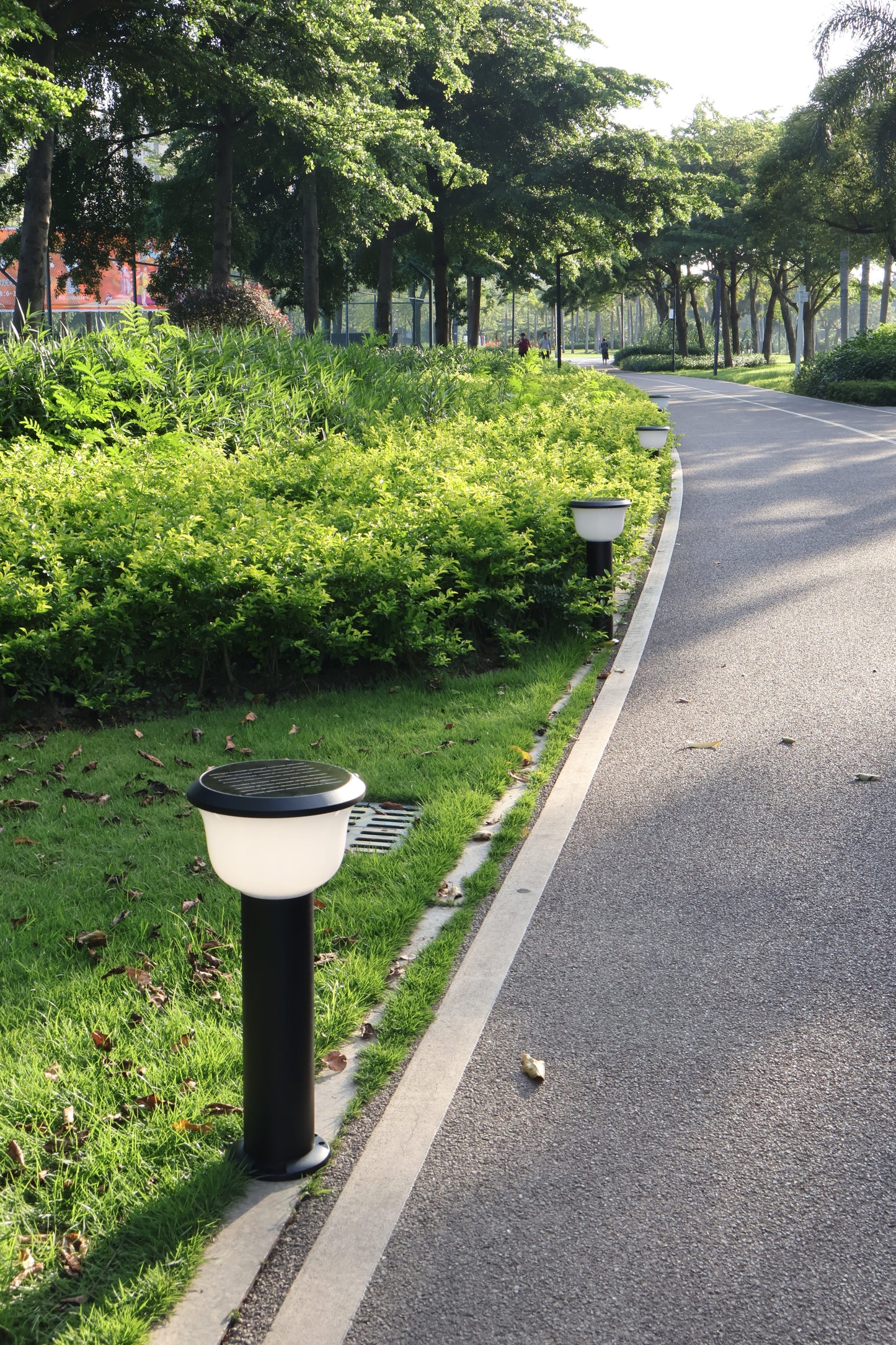 Glass Cup Series Solar Lawn Light CPD1005 installed along a park pathway
