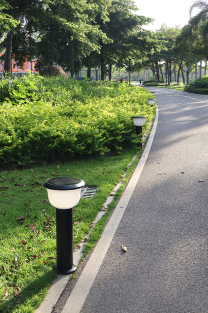 Glass Cup Series Solar Lawn Light CPD1005 installed along a park pathway
