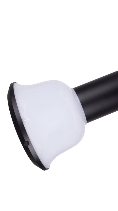 Series Solar Lawn Light CPD1005