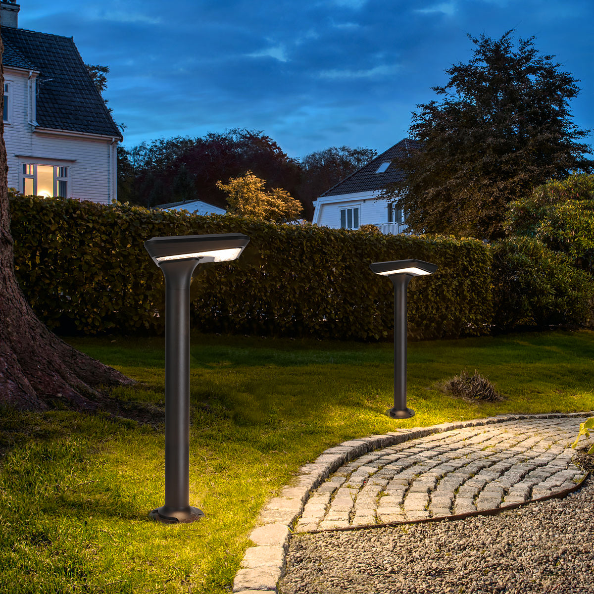 Light Cube Series solar lawn lights installed in a garden landscape beside a curved walkway