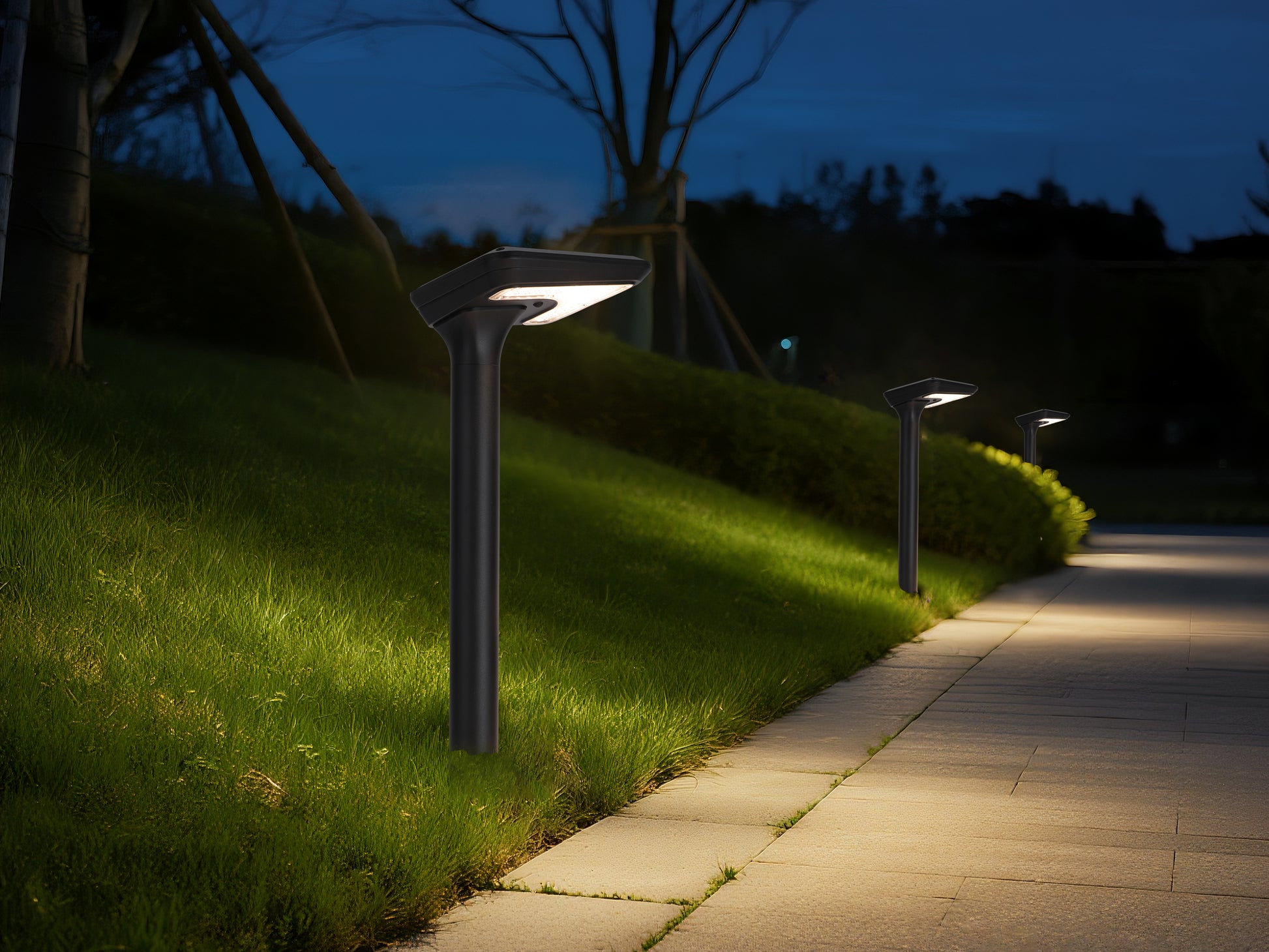  Light Cube Series Solar Lawn Light CPD4003 providing pathway lighting along a lawn edge