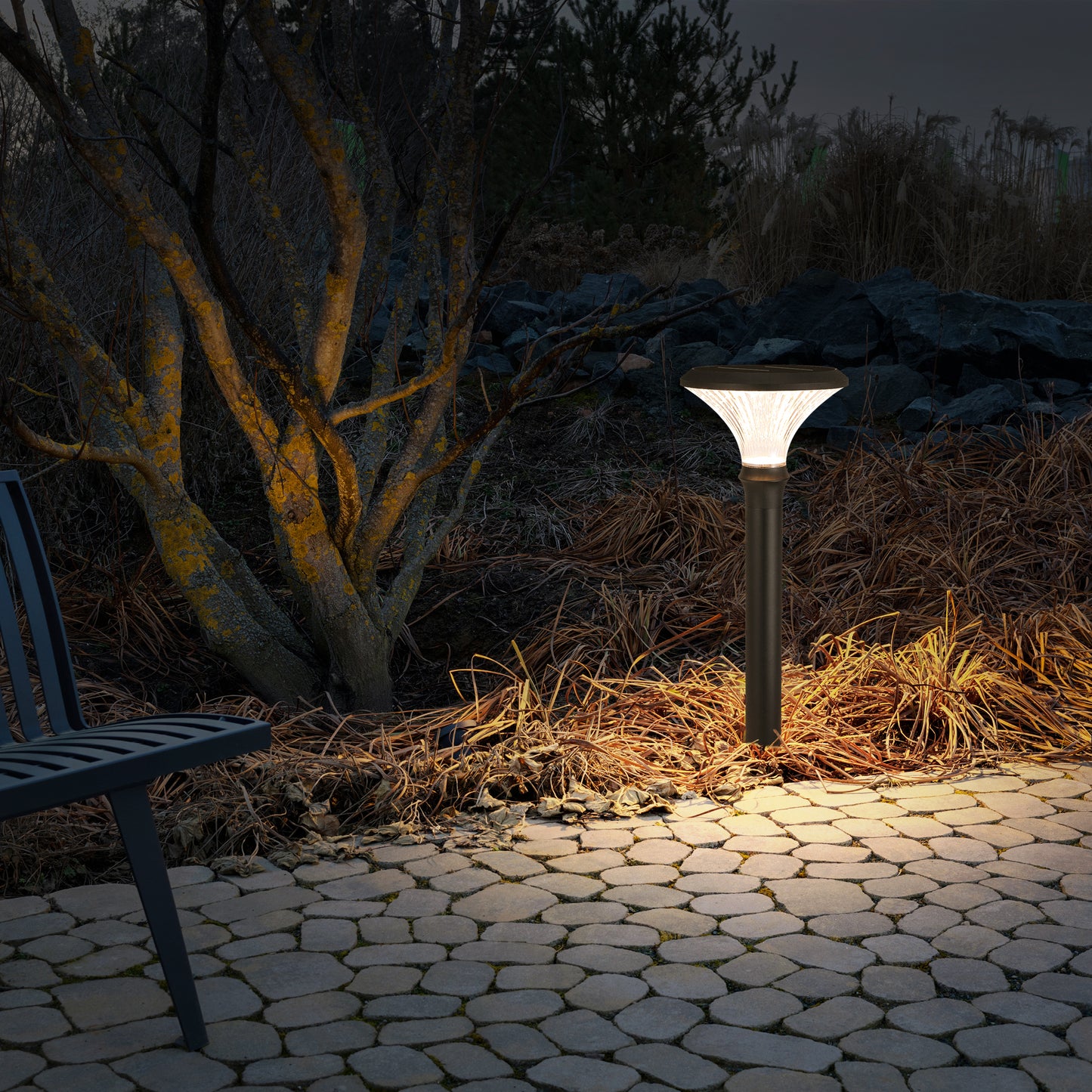 Round Diamond Series Solar Lawn Light CPD3002 illuminating a patio border and landscape plants at night