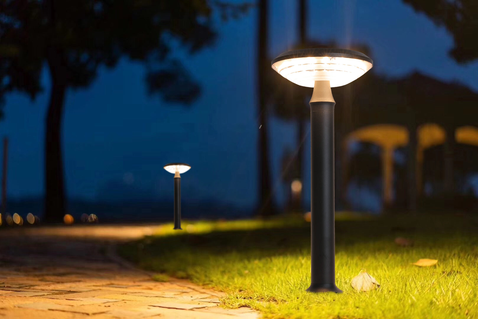 Round Moon Series Solar Lawn Light CPD3202 illuminating a lawn pathway at night