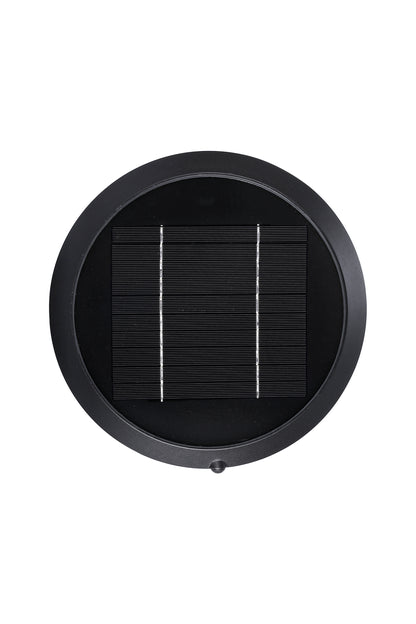Round solar panel detail of Round Moon Series Solar Lawn Light CPD3202