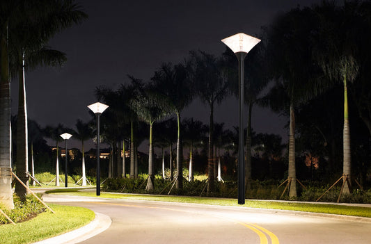Square Series Solar Garden Light TYD2014 installed along a landscape road with palm trees for night outdoor lighting