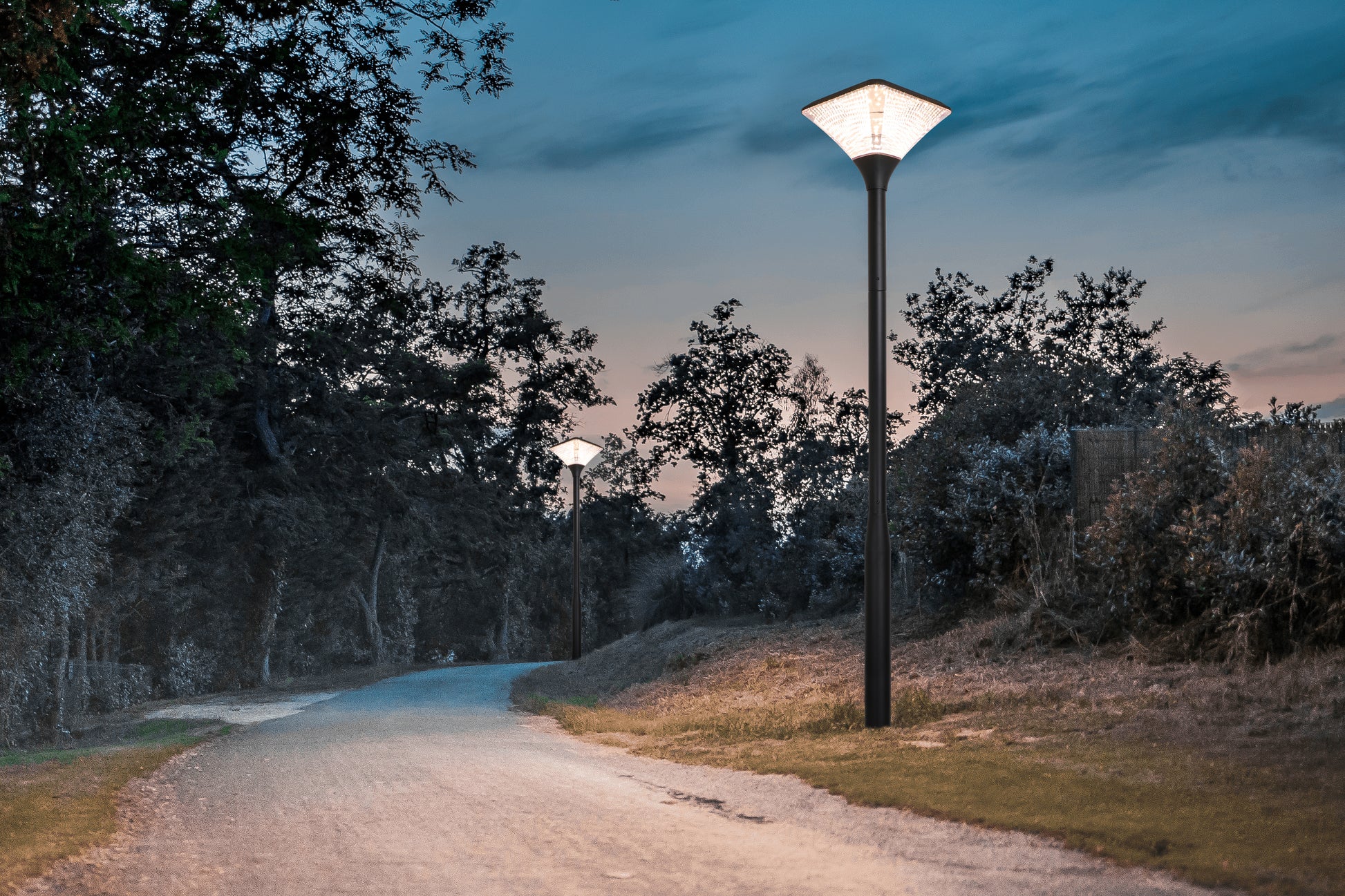 Square Series Solar Garden Light TYD2014 installed along a park path for warm outdoor landscape lighting