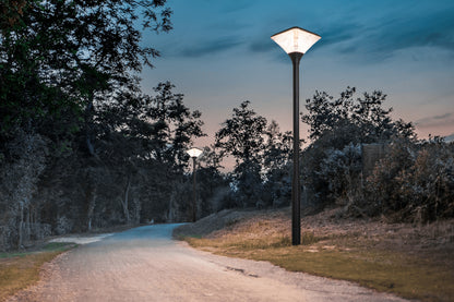 Square Series Solar Garden Light TYD2014 installed along a park path for warm outdoor landscape lighting
