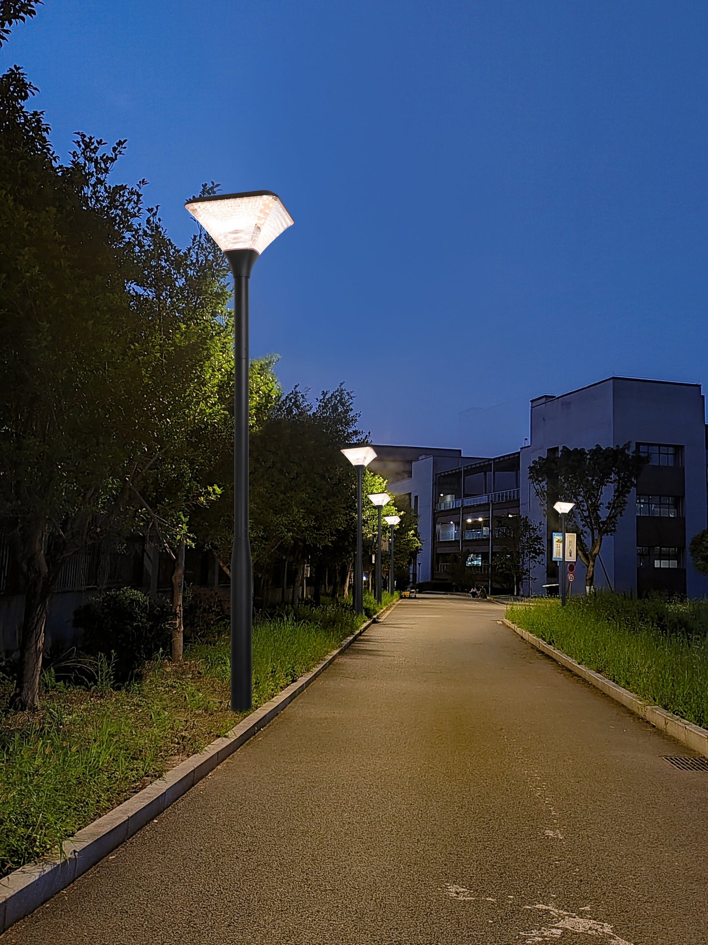 Square Series Solar Garden Light TYD2014 illuminating a residential lawn and community outdoor space at night