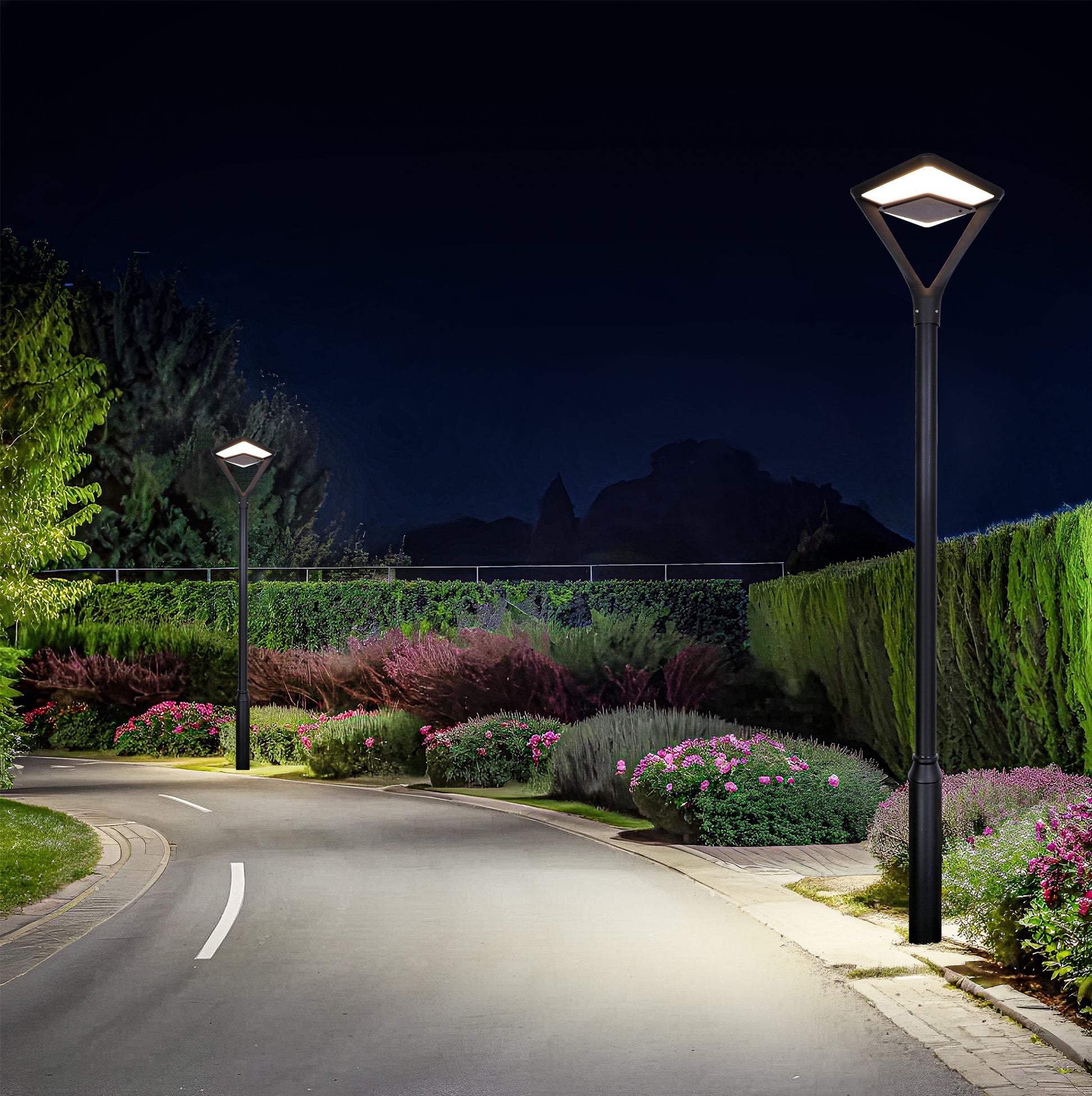 Twinstar Series solar garden light TYD3015 illuminating a landscaped garden road at night